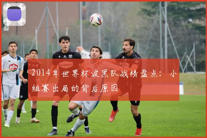 2014年世界杯波黑队战绩盘点：小组赛出局的背后原因