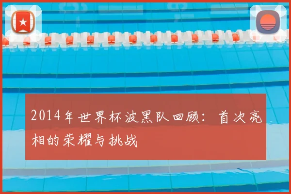 2014年世界杯波黑队回顾：首次亮相的荣耀与挑战